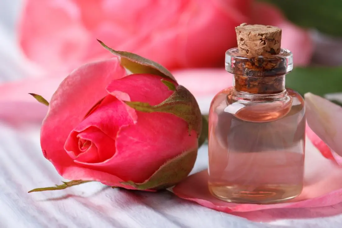 Rose Water Benefits for Skin, Hair & Health